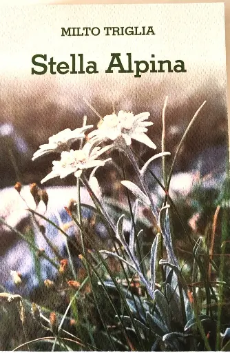 "Stella Alpina"